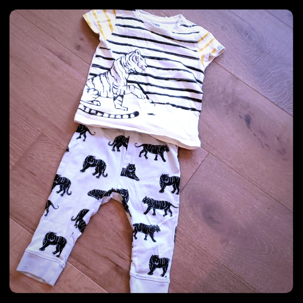 Tiger set